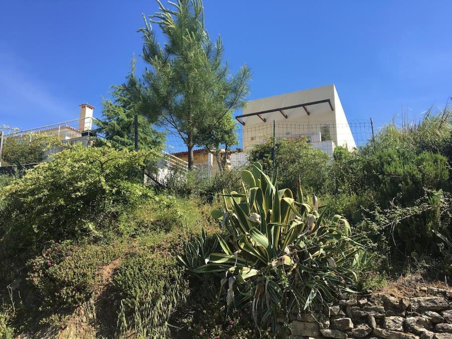 Vila A Casa Da Lua Tomar Exteriér fotografie
